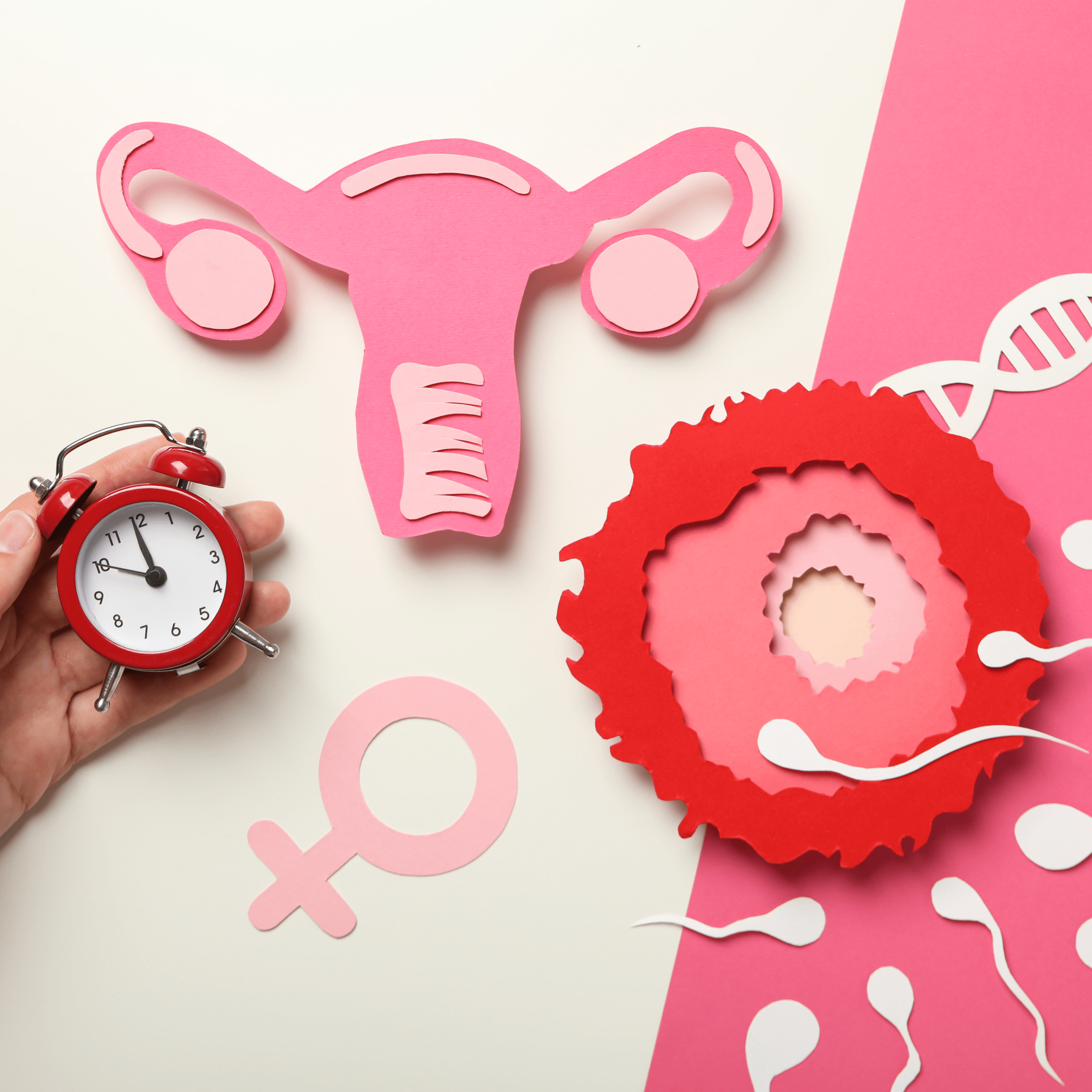 In Vitro – Nadzieja na Rodzicielstwo