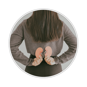 Pakiet badań Nerkowy