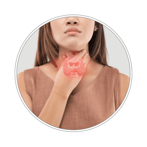 Pakiet badań tarczycowy podstawowy