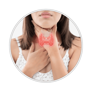 Pakiet badań tarczycowy pełny