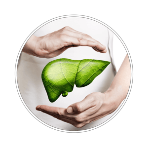 Pakiet badań wątroba i trzustka