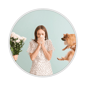 Pakiet badań Alergia TEST ALEX