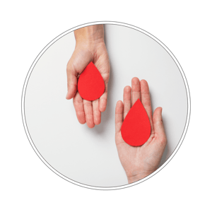 Pakiet badań Anemia