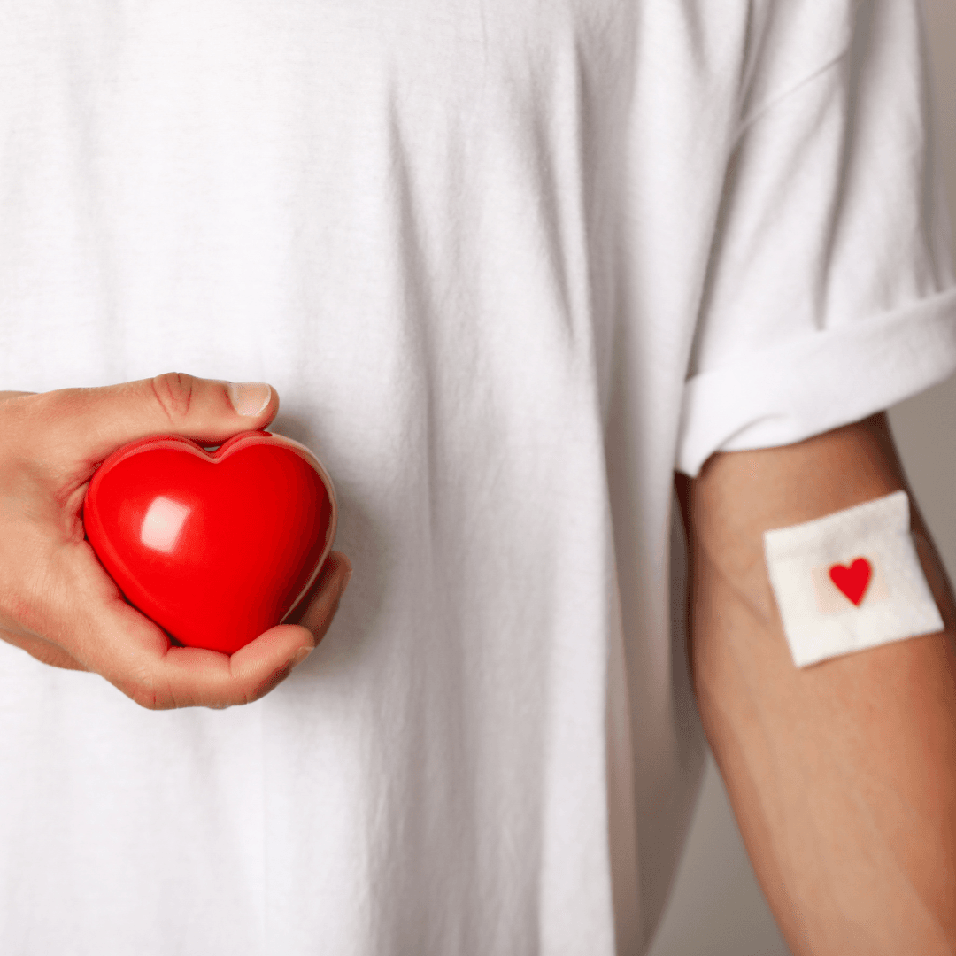 Profil lipidowy (lipidogram) – co warto wiedzieć?