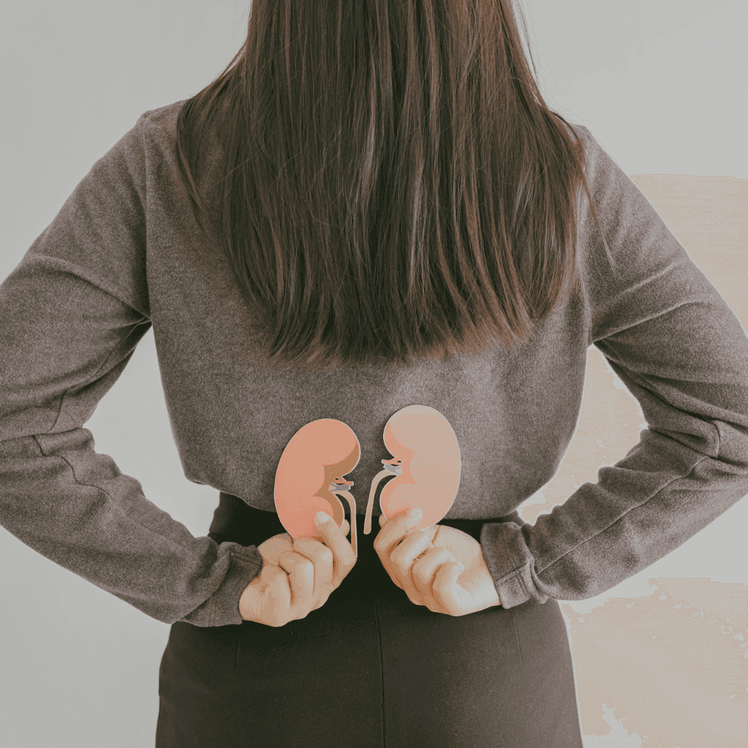 Zdrowie nerek – Jakie badania na nerki warto wykonać?