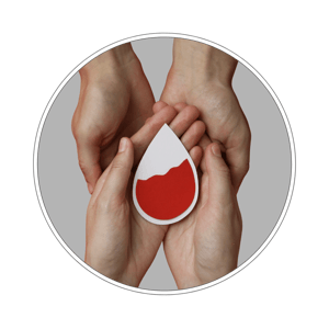 Pakiet badań ferrytyna